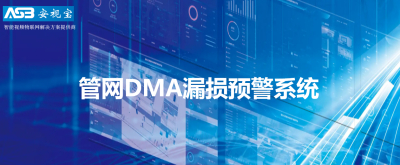 DMA漏损系统